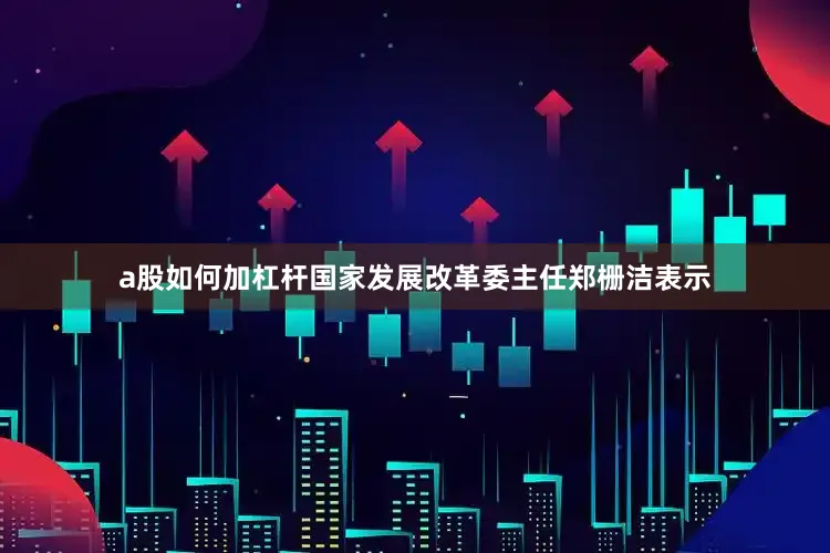 a股如何加杠杆国家发展改革委主任郑栅洁表示