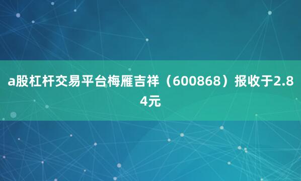 a股杠杆交易平台梅雁吉祥（600868）报收于2.84元