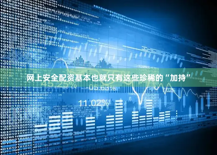 网上安全配资基本也就只有这些珍稀的“加持”