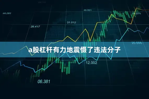 a股杠杆有力地震慑了违法分子